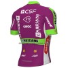 Maglia 2022 Bardiani-CSF Faizane Manica Corta Verde Lilla